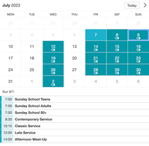 Example of a SuperSaaS widget-type schedule on a tablet device for church activities