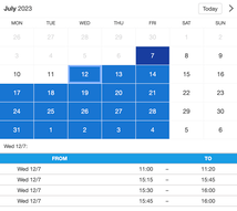 Example of a SuperSaaS widget-type schedule on a tablet device for medical services