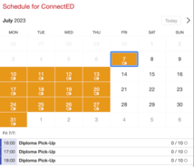 Example of a SuperSaaS widget-type schedule on a tablet device for schools & universities